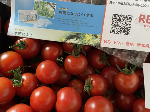 【塩トマトのようなフルーツトマト】ソムリエミニトマト　ダイヤ
箱込み２kg（９０玉～１５０玉）