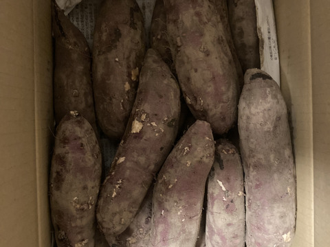 《熟成1ヶ月超えでお届け！》紅はるか（5kg）(茨城県産)・(サツマイモ)(Ⅿ～２Lサイズ)(土付き)