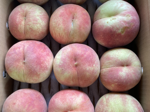 🍑青空むすめ🍑3キロ箱　訳あり家庭用