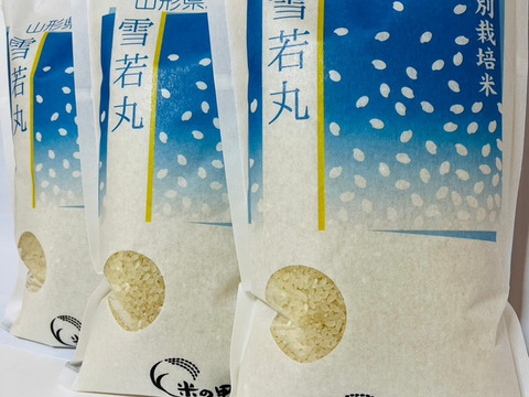山形が誇るブランド米！山形県産特別栽培米雪若丸（白米）６ｋｇ（２ｋｇ×３袋）