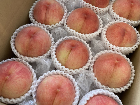 訳あり♡桃の女王あかつき♡山形県産もも♡たっぷりお得サイズ