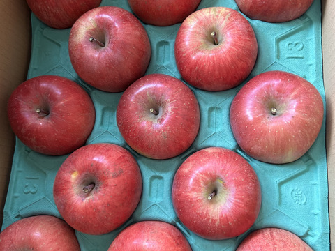 【サンふじをたっぷり食べたい方に！】家庭用　ジューシーな甘みと酸味のバランスがクセになる！関農園の『サンふじ』5kg（12～20玉）サビ／変形／色ムラ／ツル割れ／小傷／微小な鳥虫害／枝ズレなど