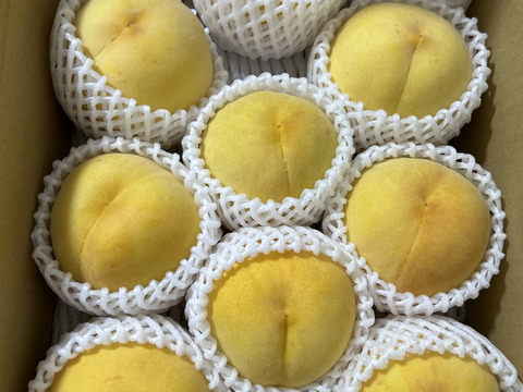 昨年大好評‼️【まるでマンゴー!?】ゴールデンピーチ!!３kg