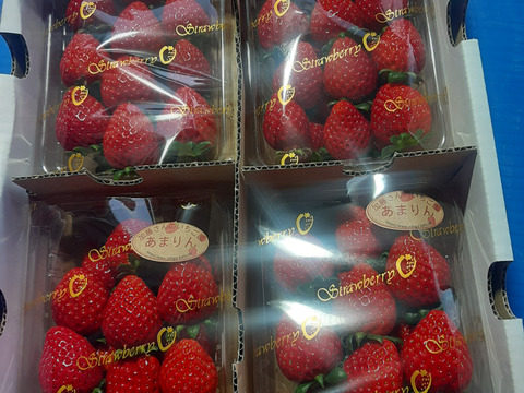 あまりん 小粒 250g×4パック