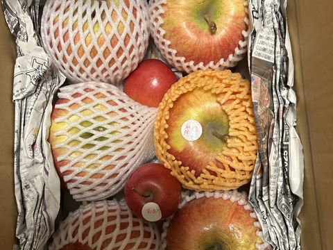 大玉希少品種！【美丘（みおか）】訳ありだけどたった６個で３kg超