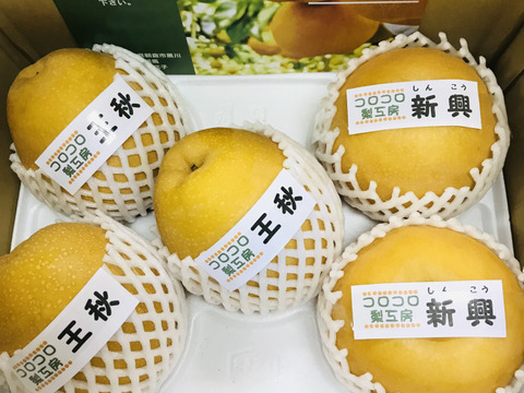 【旬の梨食べ比べ‼️2品種】何が届くかお楽しみ😋贈答用約2.2kg✨️豊水・あきづき・かおり・あきあかり・二十世紀・南水・にっこり・新高・王秋・新興・愛宕の中から2品種詰め合わせ‼️