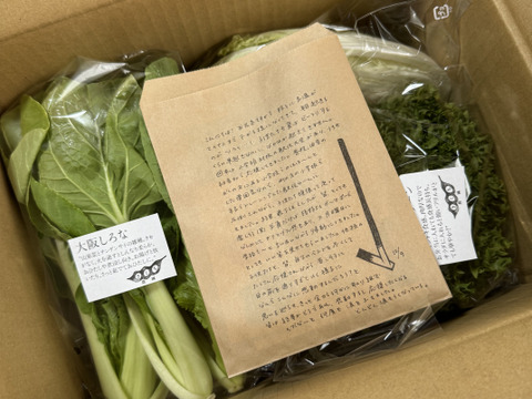 野菜セットＳサイズ（７品）【農薬・化学肥料・動物性堆肥｜不使用】