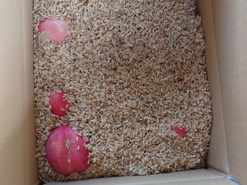 生産農家直送  ネクタリン スイートクリスタル ご家庭用 2kg 長野県産 化学肥料不使用 除草剤不使用 人にやさしく環境にもやさしい農産物