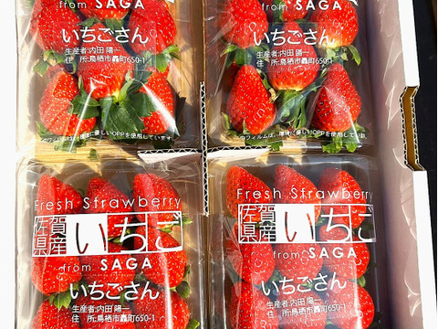 公式サイト 投稿CP商品】お宝BOX☆MIXいちご☆いちごさん、かおりの、星 その他 加工食品