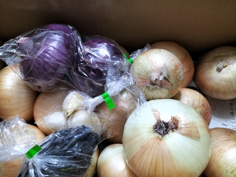 大好評，地層が違う淡路島、大玉、新玉ねぎ、七宝早生(風袋込み3キロ)