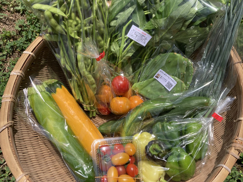 旬の野菜セット（7～9品種）