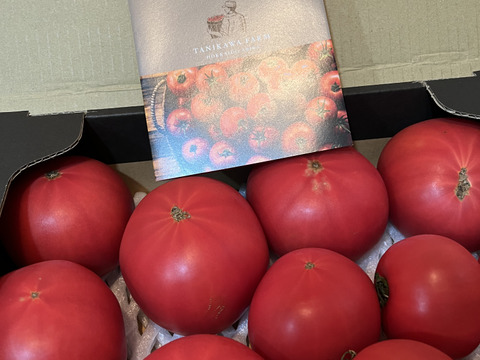 期間限定』完熟桃太郎とまと（秀品）約2kg×2 | 野菜/トマト 産直
