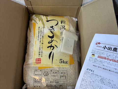 「お米グランプリ2025   4部門受賞🏆」新潟県産　つきあかり  5キロ  白米  令和7年産　お米　(62)