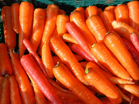 にんじん黒田五寸