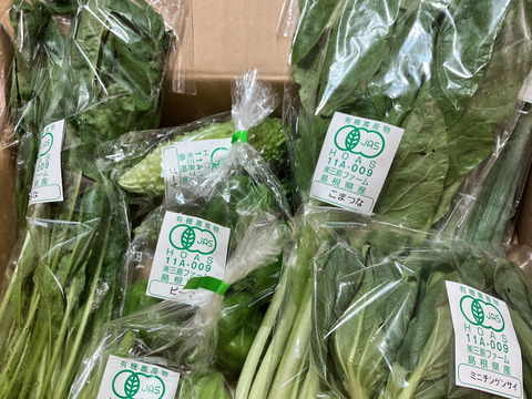 採れたて！旬の有機野菜の詰め合わせ（お試し6種）