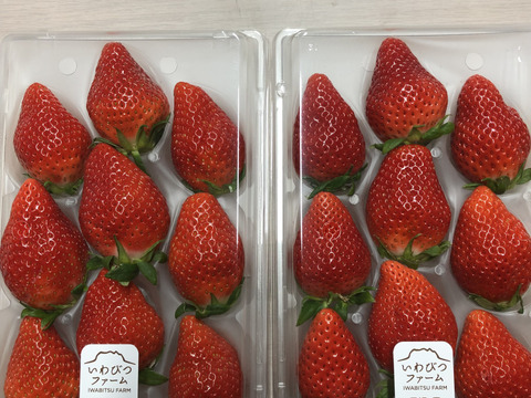 味わい深い芳醇な甘み。こだわりの土と水で作る特別なイチゴやよいひめ　600g