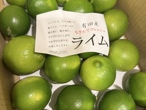 ライム　１ｋｇ