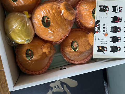 贈答用に❗️ご家庭用に❗️美味しい不知火デコ柑3k✖︎2箱