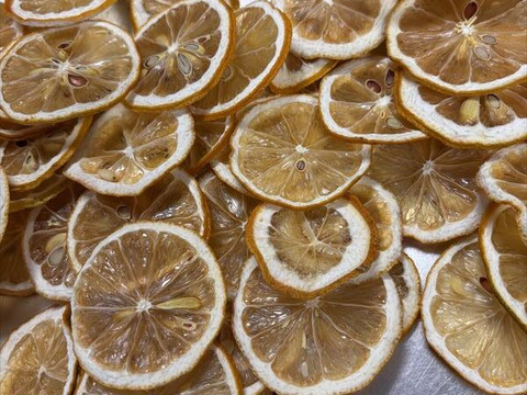 自家製レモン使用！粉末レモン50g