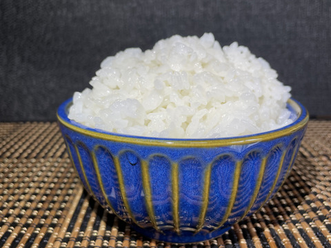 出店記念価格 令和2年産多古米こしひかり 5 千葉県産 食べチョク 農家 漁師の産直ネット通販 旬の食材を生産者直送
