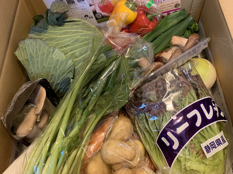 畑から採りたて発送！©静岡厳選野菜セット（12品)（本州の方限定）「熨斗対応可」