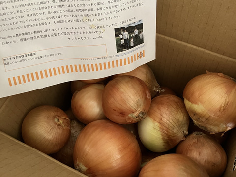 【訳あり】淡路島玉ねぎ「中生種」５kg　特別栽培　ひょうご安心ブランド認証取得