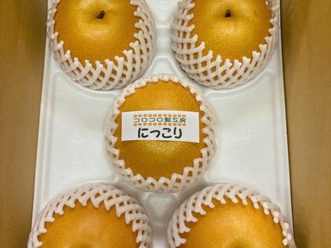 【とにかく甘い‼️】PREMIUMにっこり梨約3.0kg(5~7個)✨️新高と豊水の交配種✨️甘くてキメが細か、とってもジューシー💦酸味が苦手な方にはおすすめ品種😋鮮度を保つ為クール便でお届け🚚