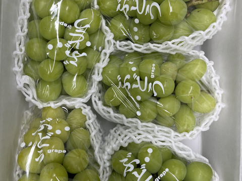 フジコシャインマスカット２キロ shinemuscut-02.jpg?v=1725677276