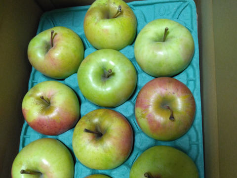 【家庭用】ぐんま名月 約2.5kg 7-14玉 甘くてジューシーな希少りんご  11月以降発送予定 #NAM0B025