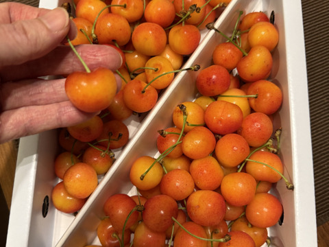 お得な紅秀峰　M以上２Ⅼ未満　サイズ混ぜ混ぜで『Ⅿのお値段』１ｋｇ　バラ詰め