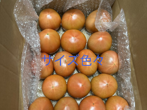 サイズ色々★80サイズ箱詰め合わせ