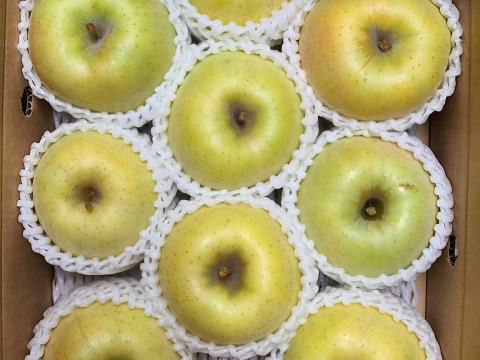 希少新品種　りんご （きみと）３ｋｇ（９個前後）あま～い　りんご　最高の出来栄え