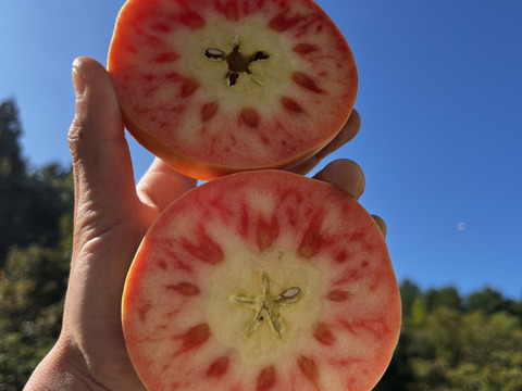 今年最後【訳あり】驚いた(*[]*)ﾅｯ!!ムーンルージュ 約3kg家庭用