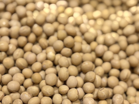 訳アリ🉐【北海道産】農薬･化学肥料･除草剤不使用‼️濃厚で美味🌟希少品種『鶴の子大豆』‼️400g✉メール便