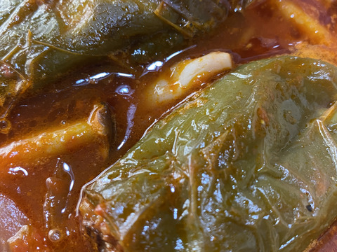 【有機肥料･農薬不使用栽培】トマト缶の代わりに体に嬉しいトマトを♡普段の料理をワンランクUP‼︎‼︎あま〜い華小町の冷凍トマト！2キロ