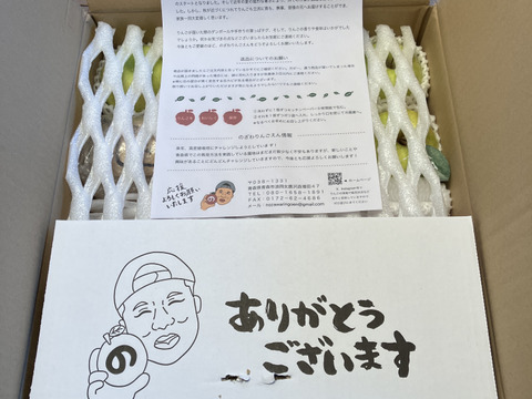 先行予約🍎！贈り物大好評！幸せおすそ分け5キロ箱🍎 ミックス 青森りんご 商品ID161780