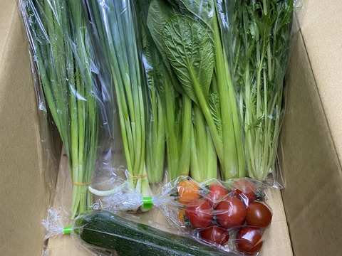 ☆畑直送☆【福岡県糸島産】朝獲れ＊無NO薬野菜セット(7品前後) 【糸島市ふるさと納税出品商品】