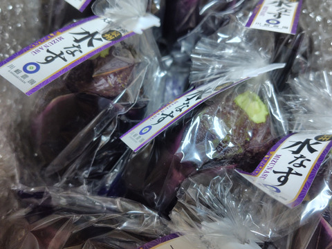 生でガブっと！絶品泉州水なす7房