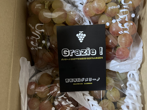 話題のぶどう 皮ごと 【紅環】べにたまき