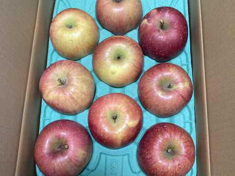令和7年度産早期予約セール7%OFF大玉から順に発送‼️🍎青森県産