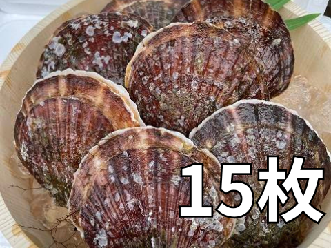 旨くてあまい！3年貝野辺地ホタテ！15枚