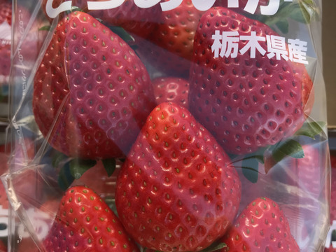 と～ってもフル～ティ💓新品種のとちあいか🍓（4パック入り）