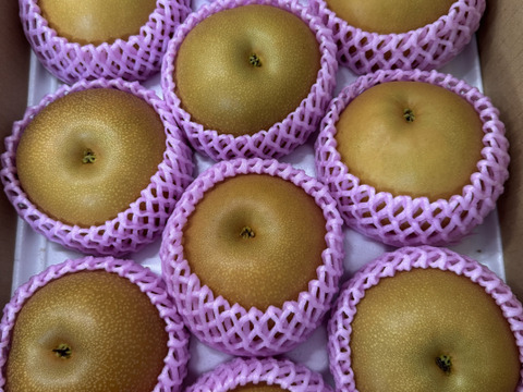 昨年大好評！『清流球磨梨』あきづき　約5kg(5〜14個入り)