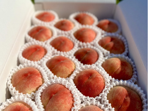 朝取り新鮮！贈答用5kg「あかつき」クール便【夏ギフト】：福島県産