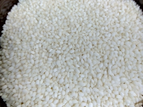 長野県産2025年度もち米　かぐらもち