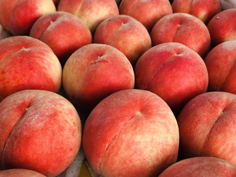 甘くてジューシー⭐︎桃源郷福島の『あかつき』（３kg箱12〜15個）【本州の方限定】