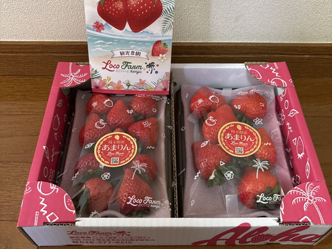 【完熟プレミアムいちご】あまりん２５０ｇ×２パックーDXパックー