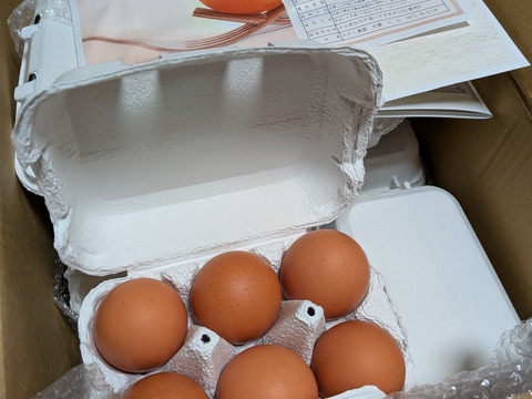 平飼いの美味しいたまご『規格外たまご100個』超お得！！【不定期】