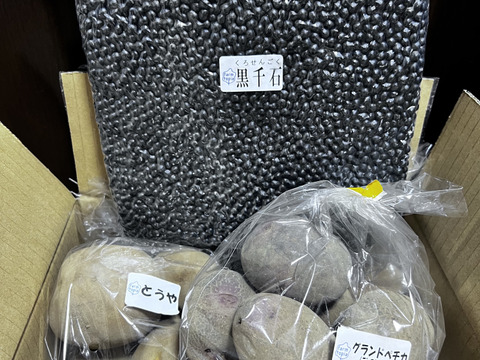 北海道蘭越産じゃがいも　食べ比べ5種類セット＋黒千石