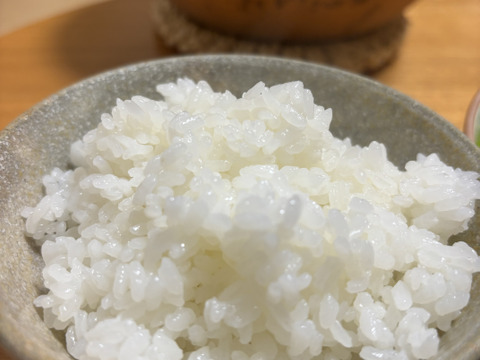 ④『令和7年産 新米』精米10kg【生味噌・無料プレゼント】東北アルプスの伏流水で育てた 新潟県産・特別栽培米コシヒカリ10kg＋生味噌1㎏